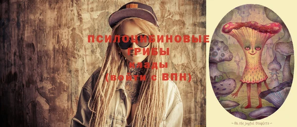 ПСИЛОЦИБИНОВЫЕ ГРИБЫ Беломорск