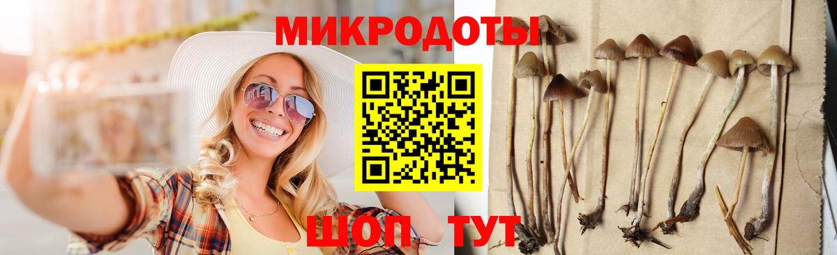 Псилоцибиновые грибы ЛСД  Вход с VPN  Галлюциногенные грибы GOLDEN TEACHER  Сердобск 